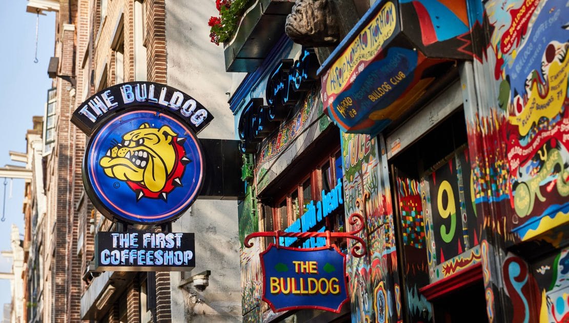 The Bulldog The Living Room of the World The Bulldog The Living Room of the World